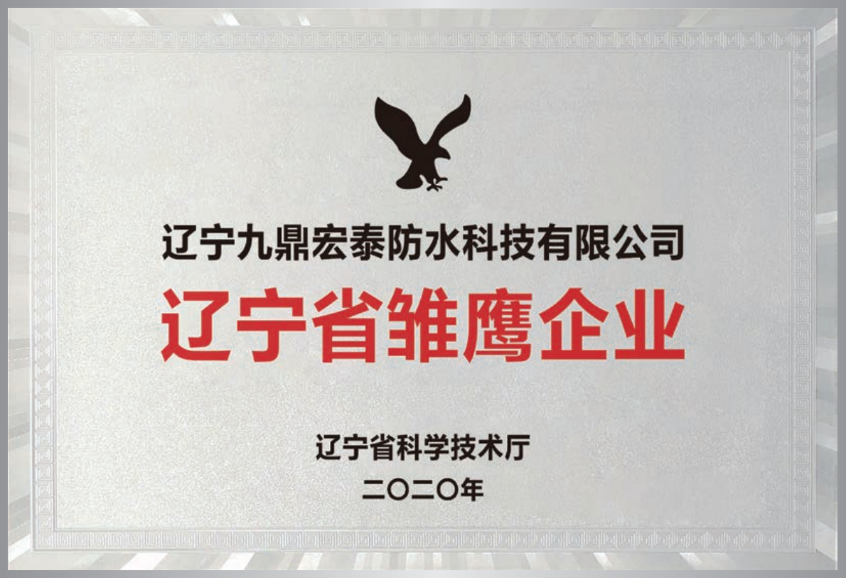 雛鷹企業(yè)